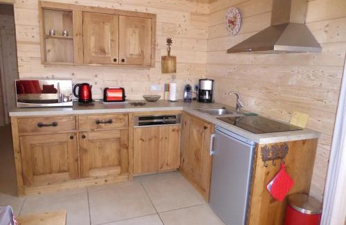 Pralognan-la-Vanoise Apartment | Charmant Rez-de-Jardin avec Terrasse dans Chalet Haut de Gamme proche Centre et Pistes de Ski - FR-1-464-29