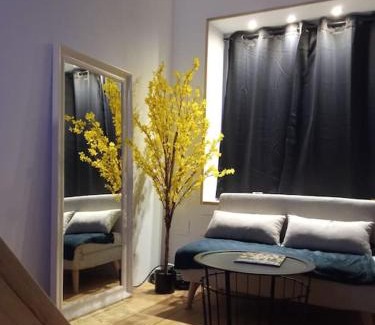 Cherbourg-en-Cotentin Apartment | CHARMANT STUDIO à 2 pas de NAVAL GROUP au coeur d une rue commerçante