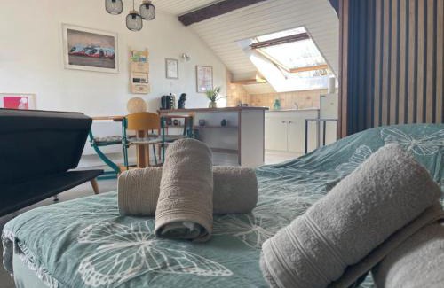 Saulcy-sur-Meurthe Apartment | Charmant studio à Saulcy-sur-Meurthe, Vosges