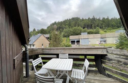 Laveissiere Apartment | Charmant studio avec balcon, au pied des pistes et commerces à Laveissière - FR-1-787-44