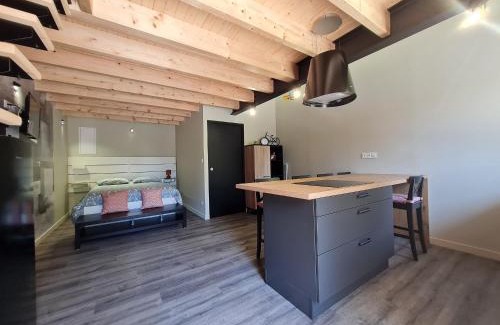 Rochetrejoux House | Charmant studio rénové avec mezzanine, cour privative et parking à Rochetrejoux - FR-1-426-479