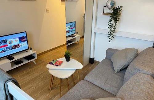 Fontaine-Bayonne-Cartoucherie Apartment | Charmant Studio Toulouse - Tramway & Zénith