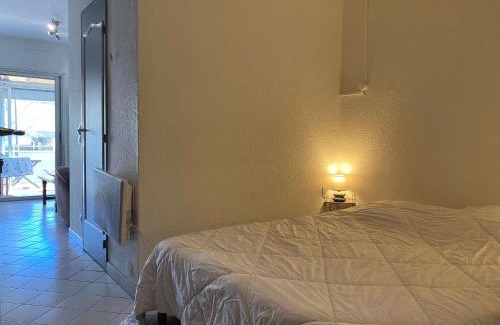 Balaruc-les-Bains Apartment | Charmant T1 avec Terrasse, Véranda et Climatisation à Balaruc-les-Bains, Exposé Sud, 2 Étoiles - FR-1-553-5