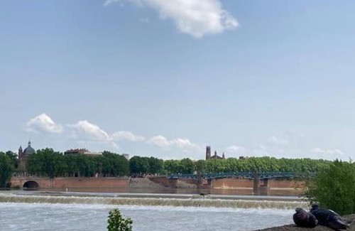 Bourrassol Apartment | Charmant T2 dans Toulouse