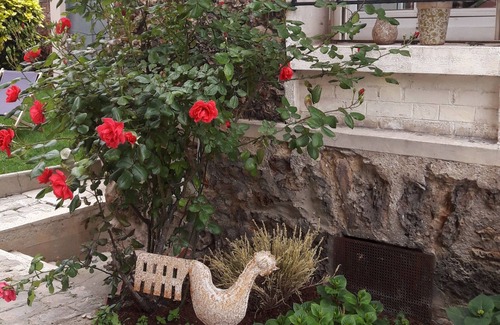 Montrouge House | Charmante Maison aux Portes de Paris/JO Avec Jardin