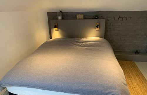 Marcq-en-Baroeul Apartment | Charmante petite maison tout confort proche tram