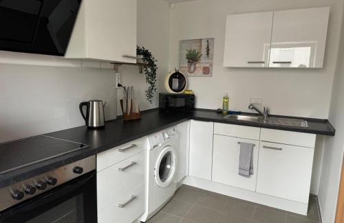 Chemnitz Apartment | Charmante Zentrale 2 Raum Wohnung