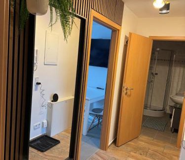 Chemnitz Apartment | Charmante Zentrale 2 Raum Wohnung