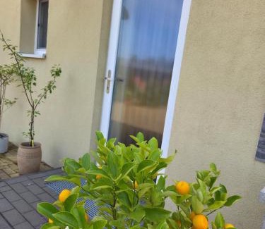 Heinersbruck Apartment | Charmantes Studio Ferienhaus mit Garten & Netflix Nähe Spreewald