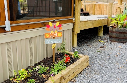 Sevierville Cabin | Charming 1-bed tiny cabin in delightful Sevierville with WiFi, AC, and Hot tub