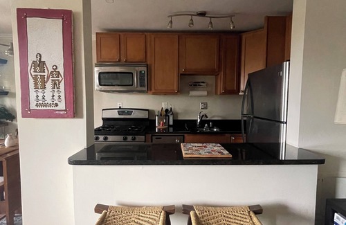 North Rosslyn Apartment | Charming 1-bedroom apartment close to everything