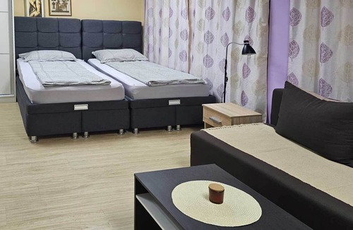 Zajecar Apartment | Charming 1-bedroom apartment with AC, WiFi in fabulous Zaječar