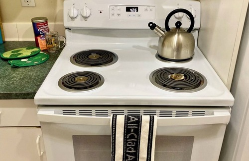 Squire Park Apartment | Charming 1-bedroom apartment with AC, WiFi close to downtown Seattle