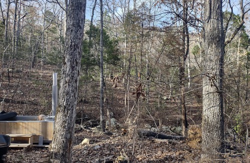 Jasper Cabin | Charming 1-bedroom cabin in delightful Jasper with AC