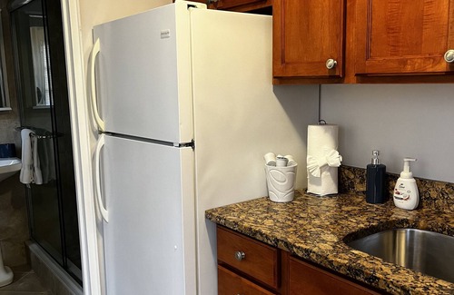 Salem Apartment | Charming 1 Bedroom Condo on Salem Common, Parking