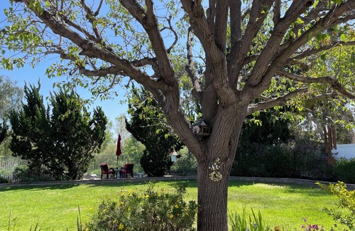 North Valley House | Charming 1-bedroom house in wonderful Oceanside with AC, WiFi