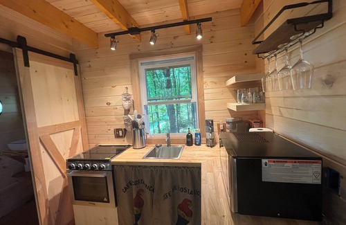 Lincoln House | Charming 1-bedroom treehouse with WiFi, AC, Hot Tub in gorgeous Lincoln VT