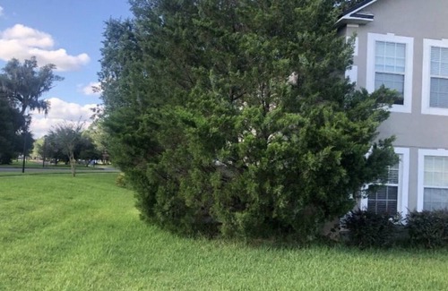 Northside Villa | Charming 1-bedroom villa in Jacksonville with AC, working desk , WiFi