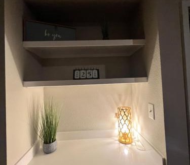 Downtown Fort Worth Apartment | Charming 2 bedroom Downtown Ft Worth