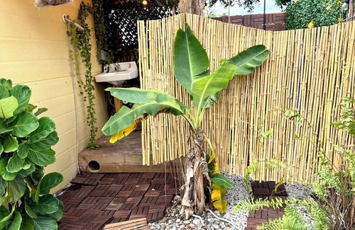Driftwood House | Charming 2-bedroom house in wonderful Hollywood with AC