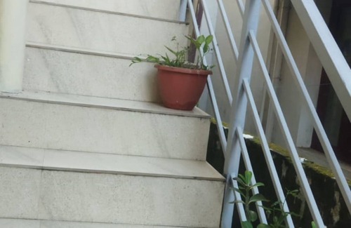 Fort Kochi House | Charming 2-bedroom house in Kochi with WiFi and fitness facilities