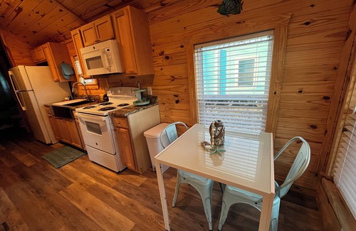 Steinhatchee House | Charming 2-bedroom PET FRIENDLY cabin in Steinhatchee