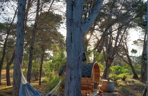 Pelican Lagoon Cabin | Charming 3-bedroom cabin in a nature's paradise on Kangaroo Island