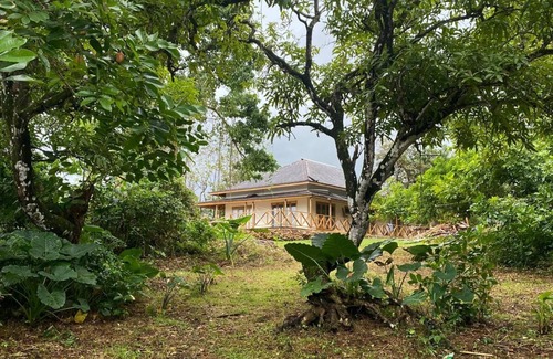 Port Antonio Cottage | Charming 3 bedroom cottage with WiFi, AC in marvelous Boston Bay, blackrockvilla