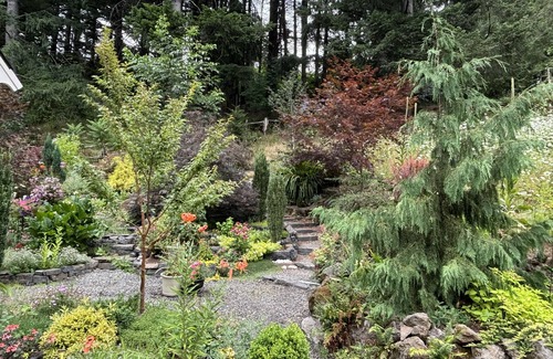 Stevenson Cottage | Charming 3-bedroom cottage with WiFi, AC in awesome Carson