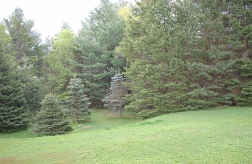 Lake Placid Cottage | Charming 3-Bedroom House Near Village and Olympic Venues