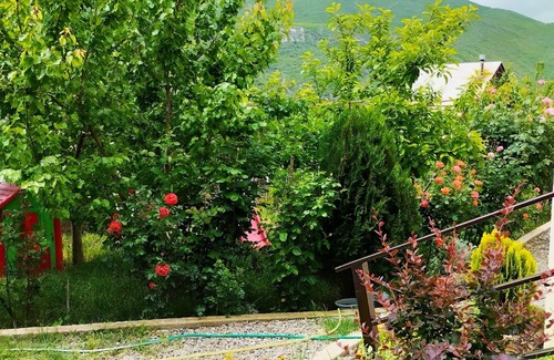 Vake-Saburtalo House | Charming 3-bedroom house with WiFi and AC in wonderful Tbilisi