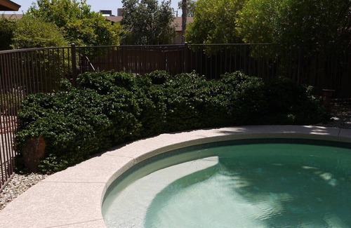 Westcliff Park House | Charming 3-bedroom house in sunny NW Phoenix, quiet neighborhood