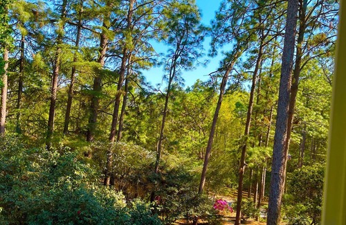 Aiken House | Charming 3-bedroom house in superb Aiken with AC, WiFi
