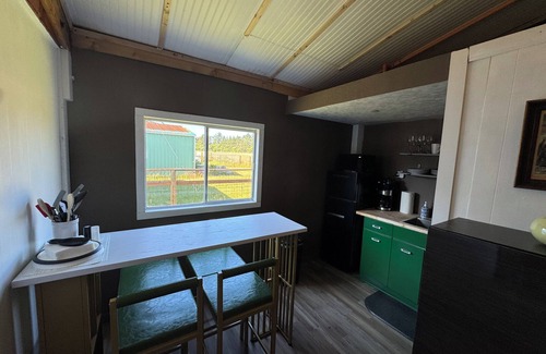 Ocean Shores Apartment | Charming & Adorable studio just minutes from the beach in Ocean Shores