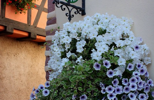 Ammerschwihr Cottage | Charming Alsatian Cottage – 18th Century, 3 Bedrooms, Historic Village, Near Vineyards, Parking Included