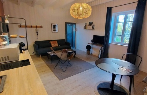 Marssac-sur-Tarn Apartment | CHARMING AND COMFORTABLE APARTMENT