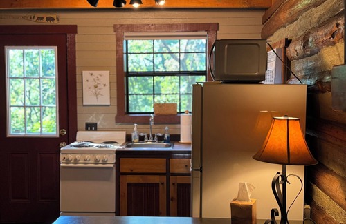 Eureka Springs Cabin | Charming and Cozy Cabin on a Mountainside Outside Eureka Springs