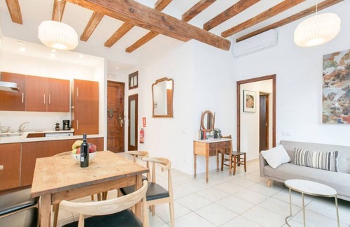 Gothic Quarter Apartment | Charming and lively atmosphere in Gothic Quarter
