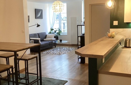 Nancy City Centre Apartment | Charming apartment a stone's throw from Place Stanislas and Place d'Alliance