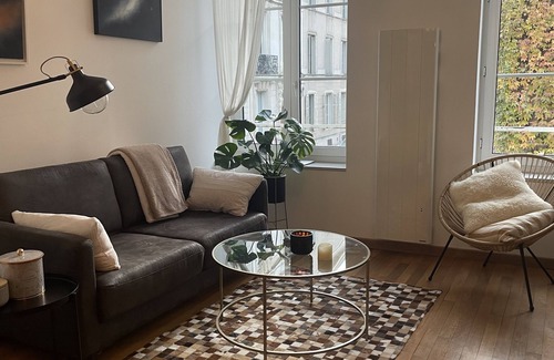 Nancy City Centre Apartment | Charming apartment a stone's throw from Place Stanislas and Place d'Alliance