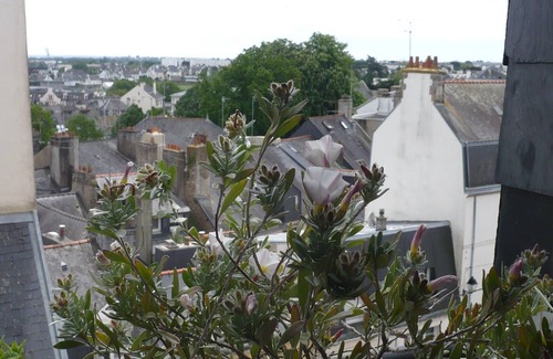 Vannes Apartment | charming apartment building 19th in historic city center.