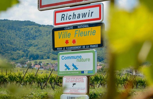 Riquewihr Apartment | Charming apartment in a 17th century Alsatian house. renovated, quiet