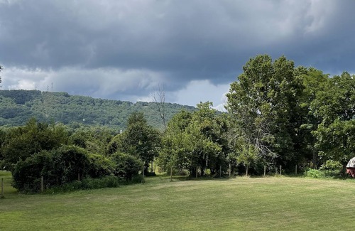 Haymarket Apartment | Charming Apartment on Scenic horse farm