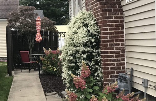 South Haven Cottage | Charming Bungalow Superior Street, Only 2 Blocks To Beach & Town