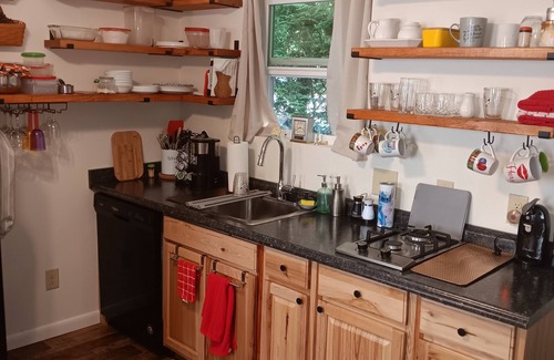 Pineola Cabin | Charming cabin nestled in a Blue Ridge mountain resort near ski resorts.