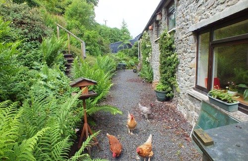 Llandovery Cottage | Charming Character Cottage, Crychan Forest & Brecon Beacons