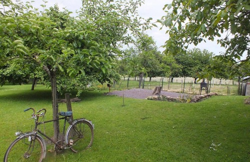 Kuhlendorf Cottage | Charming Cottage 2/4 People in Alsace