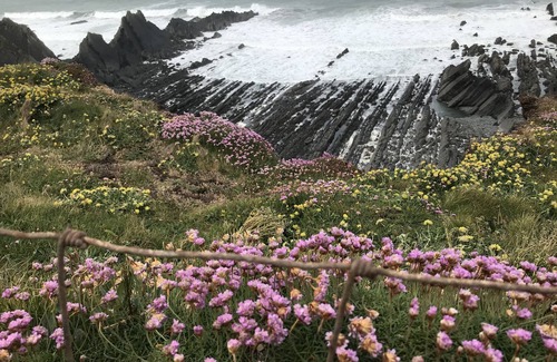 Hartland House | Charming cottage in historic village near the sea