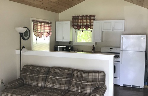 Salisbury Cabin | Charming cottage overlooking Lake Dunmore