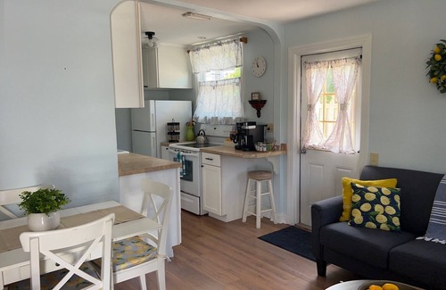 Dunedin House | Charming Downtown Cottage – Walk to Everything!
